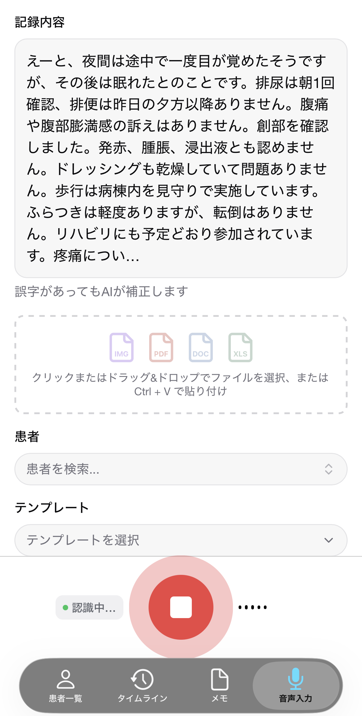 Sail AI 音声入力画面